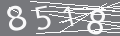 capsa